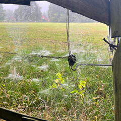 23-09-10 09-37-47 6583